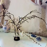 Bed & Breakfast Maison Olleris 3*