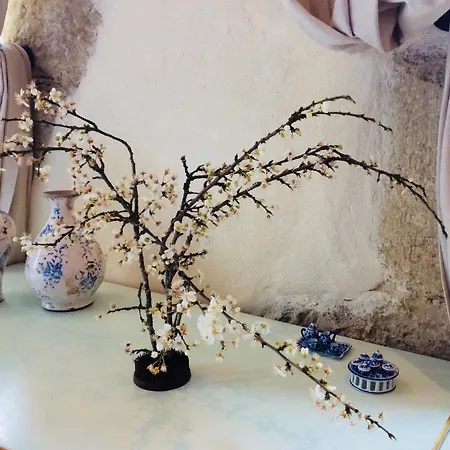 Bed & Breakfast Maison Olleris 3*