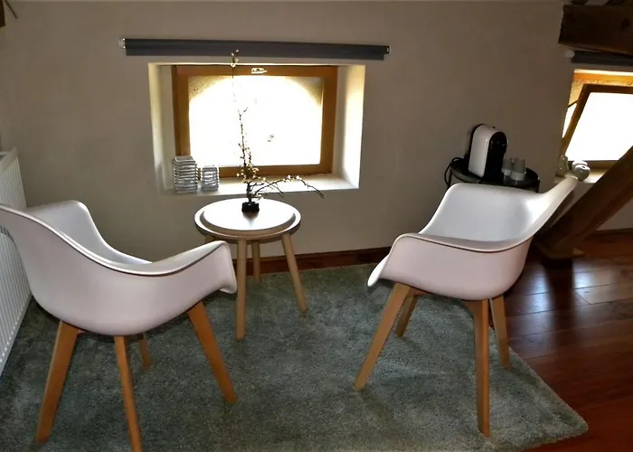 Maison Olleris 住宿加早餐酒店 3*