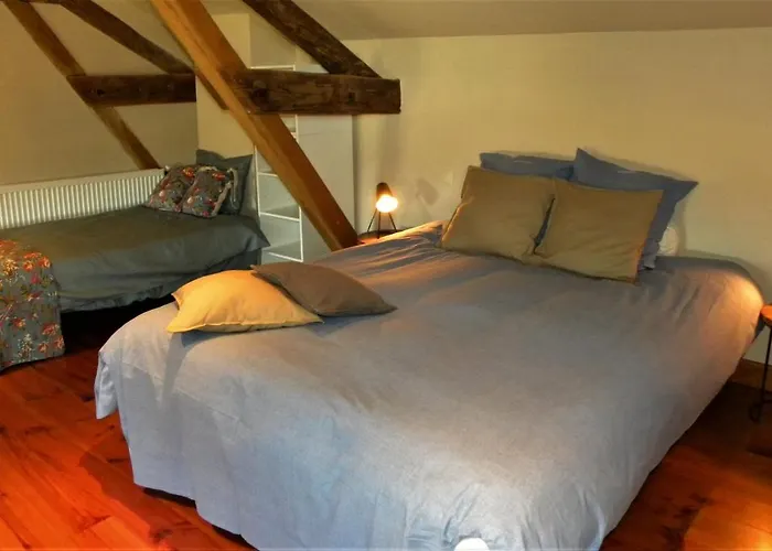 Maison Olleris 住宿加早餐酒店 3*