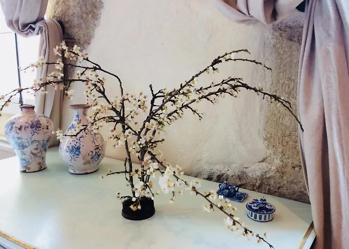 住宿加早餐酒店 Maison Olleris 3*